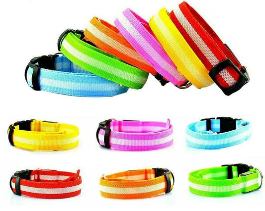 Nylon LED Glowing Dog Collar USB Rechargeable Safety Pet Collar - AllTech