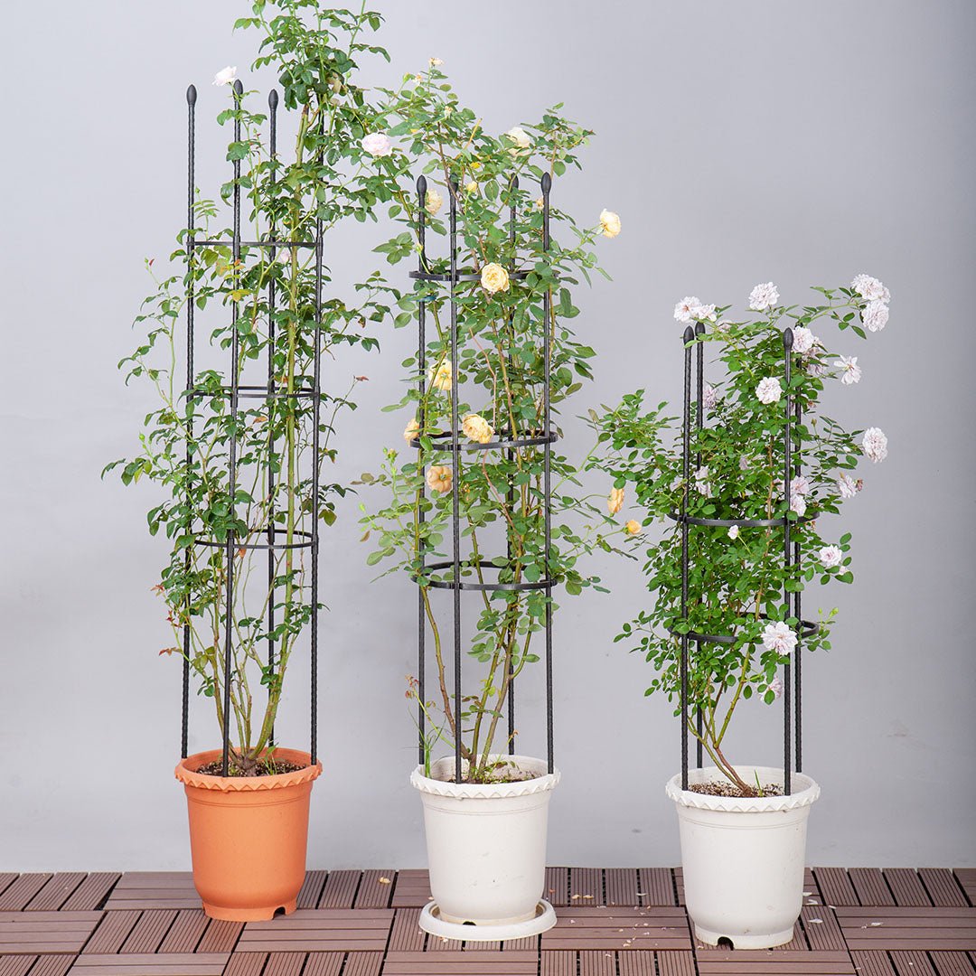 163cm 4-Bar Plant Frame Stand Trellis Vegetable Flower Herbs Outdoor Vine Support Garden Rack with Rings - AllTech
