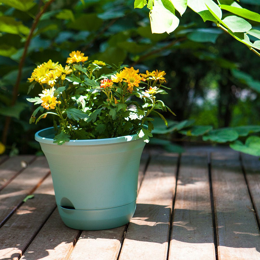 SOGA 19.5cm Blue Plastic Plant Pot Self Watering Planter Flower Bonsai Indoor Outdoor Garden Decor Set of 2 - AllTech
