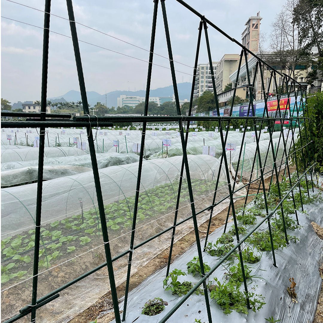 SOGA 90cm Plant Frame Tube Trellis Vegetable Flower Herbs Outdoor Vine Support Adjustable Garden Rack - AllTech